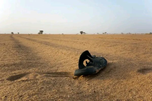 In Ka Badan 50 Tahriibayaal Ah Oo Ku Geeriyooday Saxaraha Niger Kadib Markii Gaarigii Ay La Socdeen Uu Halaabay
