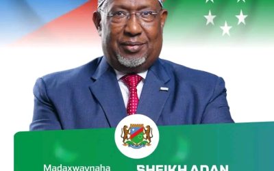 Aadan Madoobe Oo Ku Guuleystay Doorashada Madaxweynaha Koonfur Galbeed Soomaaliya